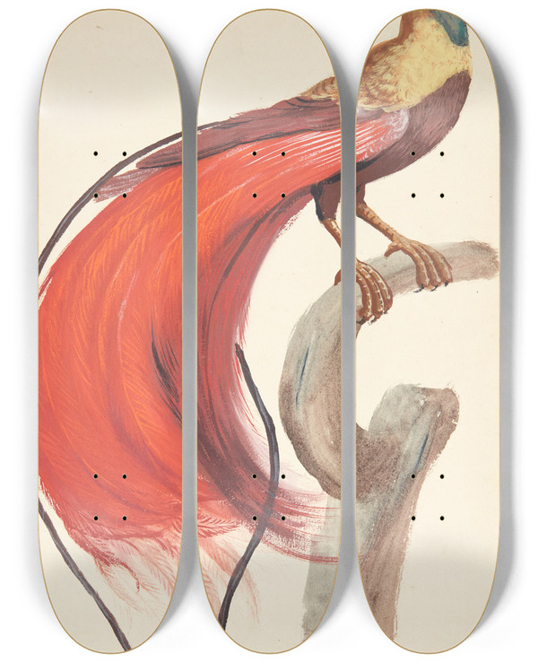Triptych art skateboard deck of Johan Christian Ernst Walter Eksotisk Fugl_3 by Johan Christian Ernst Walter