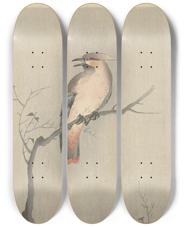 Triptych art skateboard deck of Ohara Koson Japanese Waxwing On Branch by Ohara Koson (1877-1945)