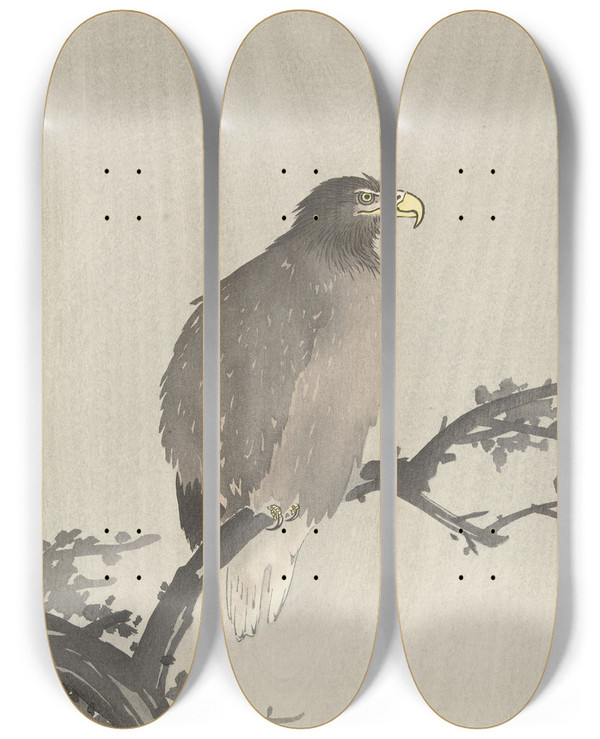 Triptych art skateboard deck of Ohara Koson Whitetailed Eagle On Branch by Ohara Koson (1877-1945)
