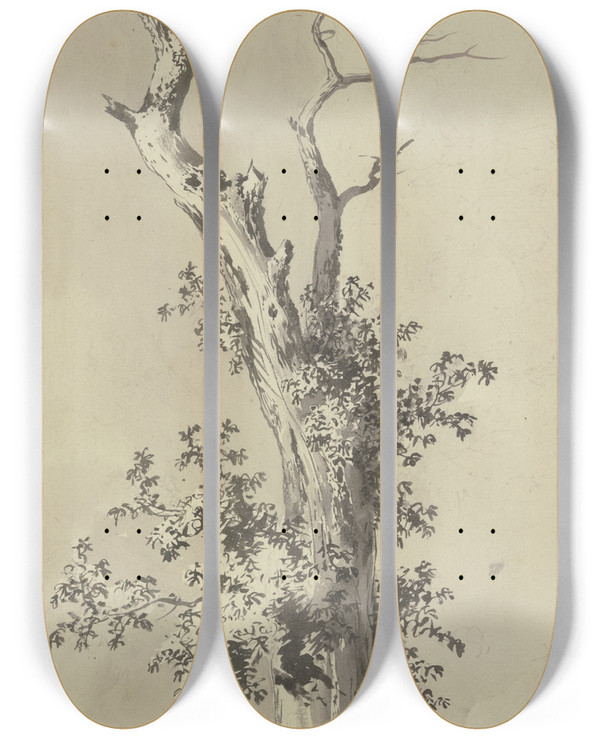 Triptych art skateboard deck of Jeanjacques De Boissieu Tree With Leafless Treetop by Jean-Jacques de Boissieu (1736-1810)