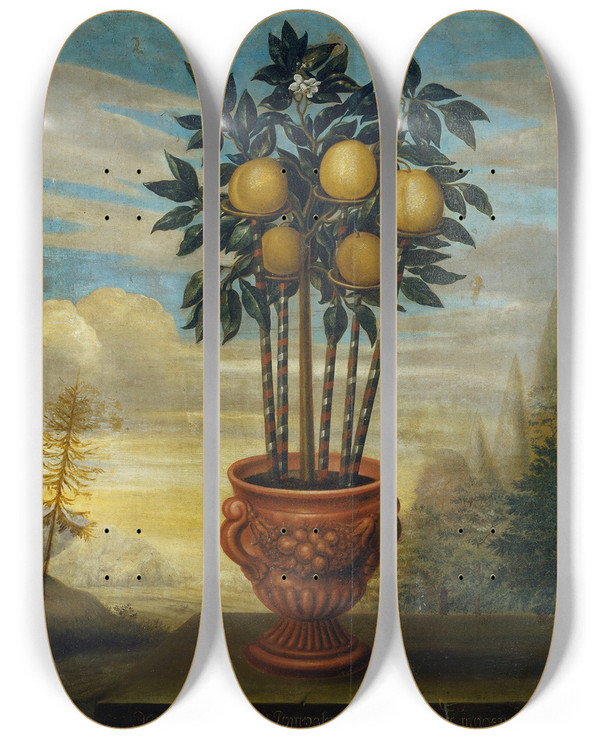 Triptych art skateboard deck of David Von Cln Orange Tree In An Urn by David Von Coln (1689-1763)