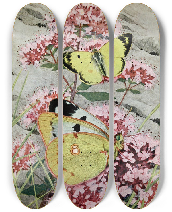 Triptych art skateboard deck of Paulandre Robert Le Soufr by Paul-Andre Robert (1901-1977)