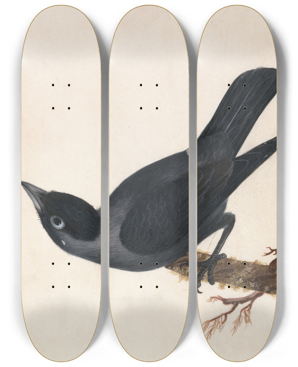 Triptych art skateboard deck of William Lewin Jackdaw by William Lewin