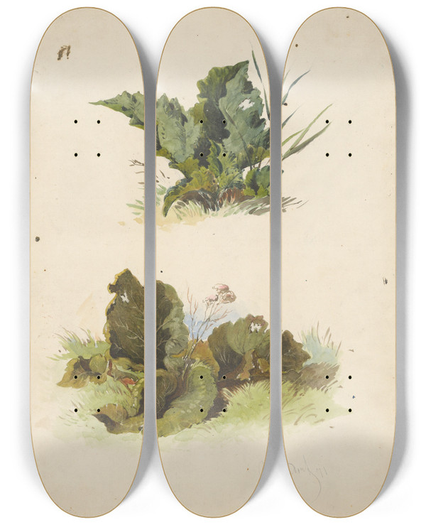 Triptych art skateboard deck of Friedrich Carl Von Scheidlin Study Of Broadleaved Plants by Friedrich Carl Von Scheidlin (1822-1913)