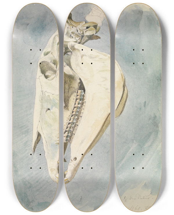 Triptych art skateboard deck of Ferdinand Keller Studie Eines Tierschdels_2 by Ferdinand Keller (1842-1922)