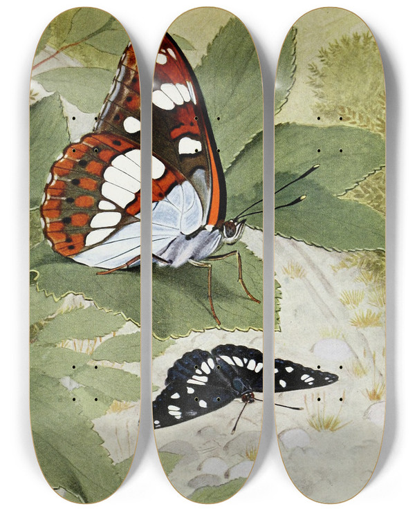 Triptych art skateboard deck of Paulandre Robert Le Sylvain Azur by Paul-Andre Robert (1901-1977)