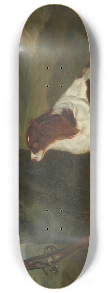 Francis Sartorius - A Spaniel And A Flintlock Shotgun In A Landscape 8.25 inch art skate deck
