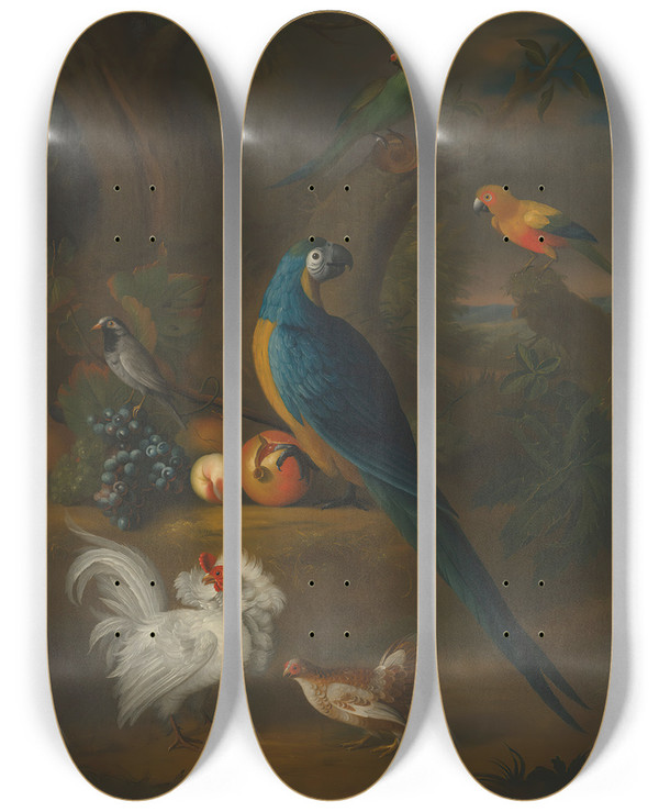 Triptych art skateboard deck of Leonard Hbner A Macaw And Other Birds In A Landscape by Leonard Hubner (1694-1769)