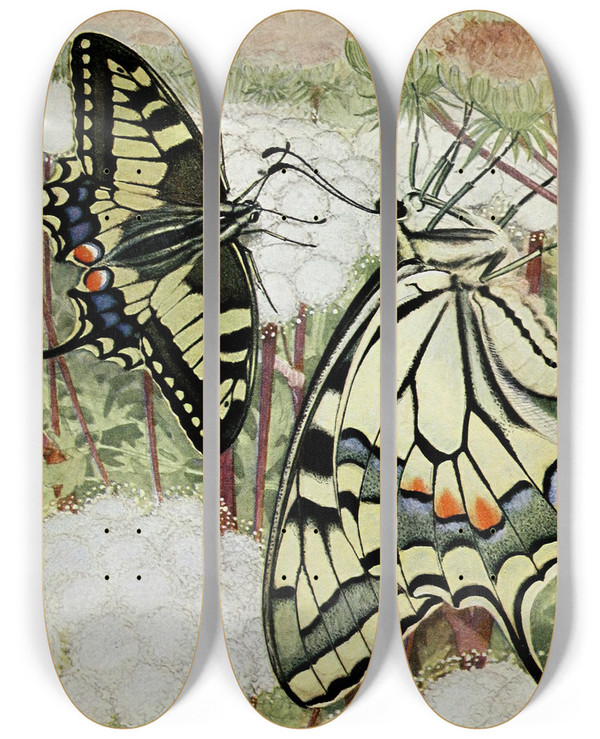 Triptych art skateboard deck of Paulandre Robert Le Machaon by Paul-Andre Robert (1901-1977)