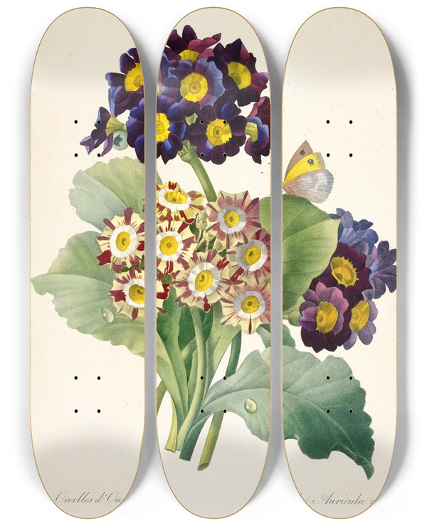 Triptych art skateboard deck of Pierre Joseph Redout Primula Auricula Primroses by Pierre Joseph Redoute (1759-1840)