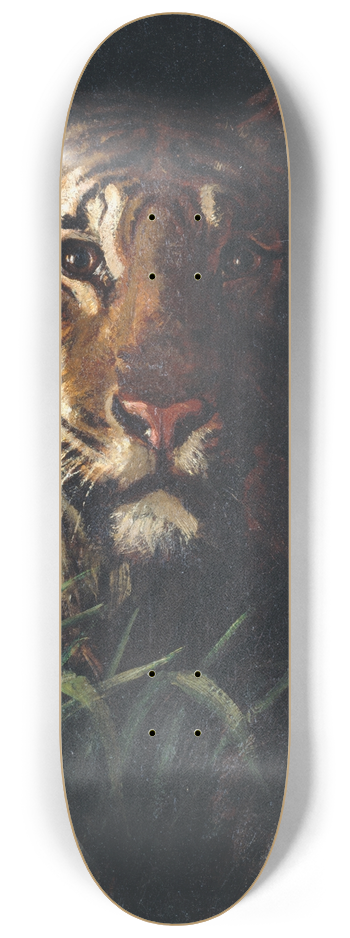 Abbott Handerson Thayer - Tigers Head 8.25 inch art skate deck