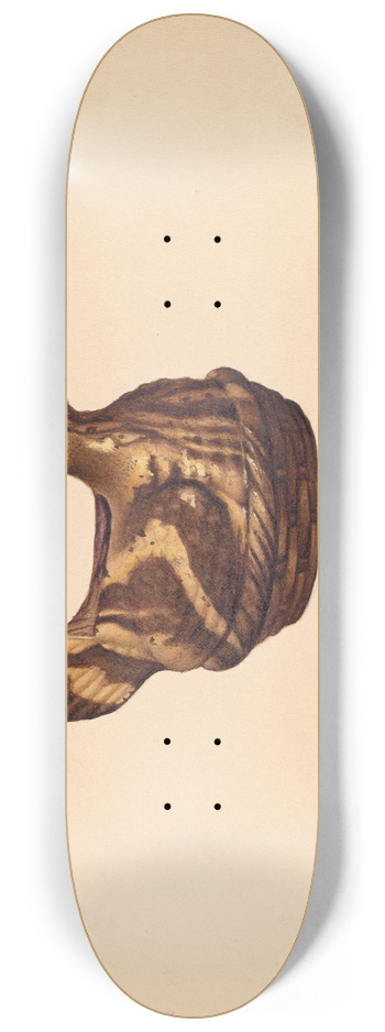 Aaron Fastovsky - Bank 8.25 inch art skate deck