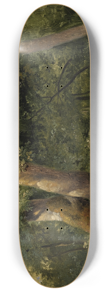 Achille Etna Michallon - Forest interior 8.25 inch art skate deck