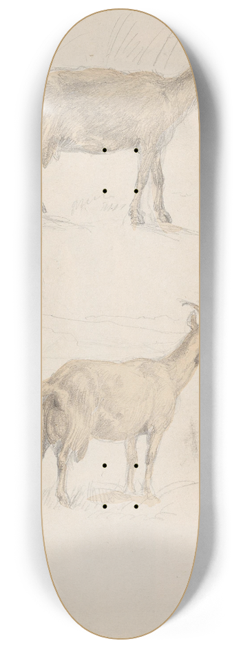 Adolph Tidemand - Geiter 8.25 inch art skate deck