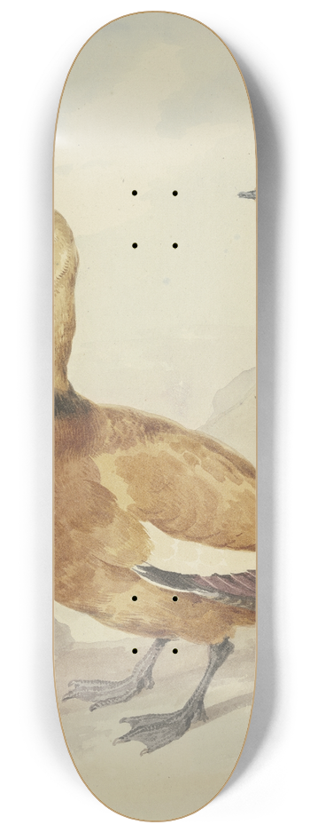 Aert Schouman - Two red ducks 8.25 inch art skate deck