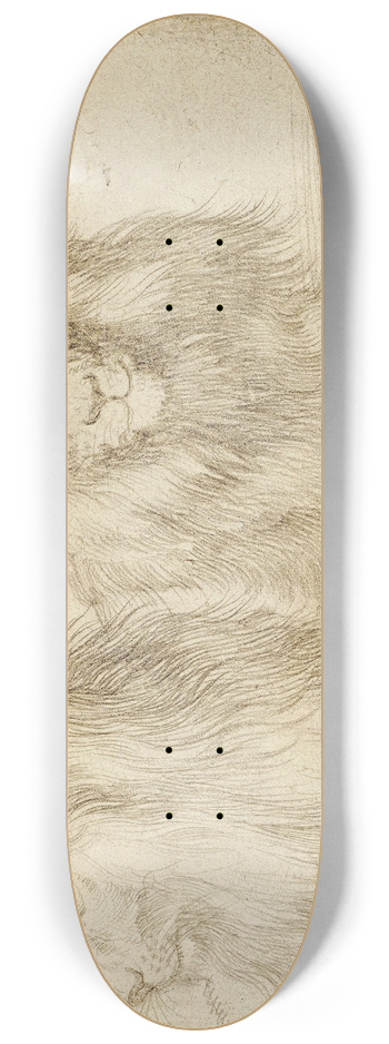 Albrecht Drer - Two seated lion 8.25 inch art skate deck