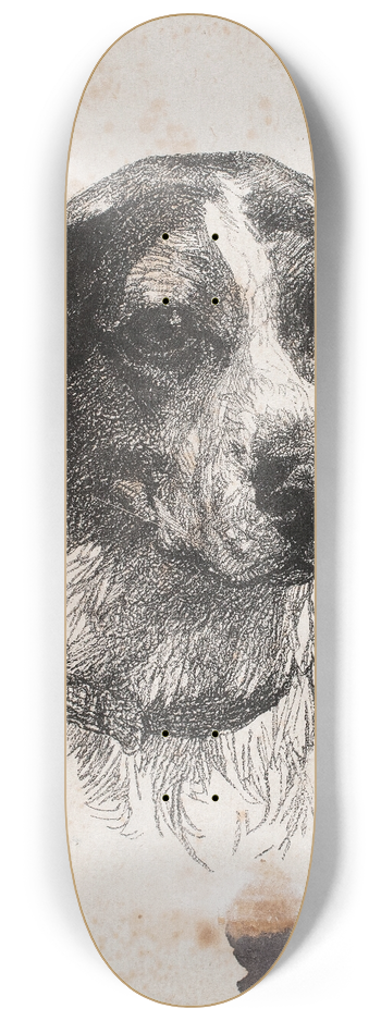 Alexander Blom - Et hundehoved 8.25 inch art skate deck