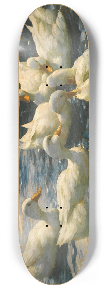 Alexander Koester - Six Ducks 8.25 inch art skate deck