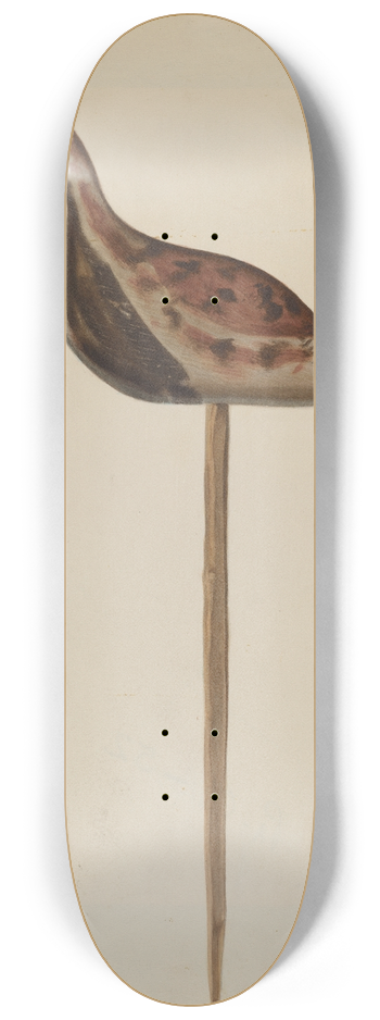 Franklyn Syres - Decoy 8.25 inch art skate deck