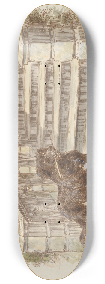 Alfred W. Cooper - The Young Squire (tail piece) 8.25 inch art skate deck