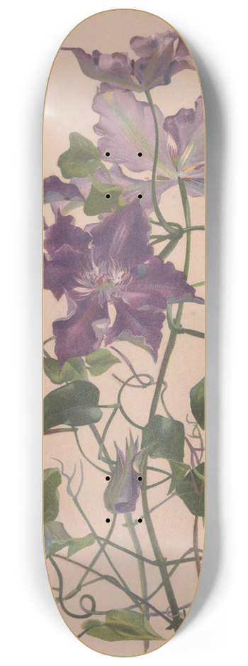 Alice Bailly - Aquarelle dune clmatite  grandes fleurs 8.25 inch art skate deck