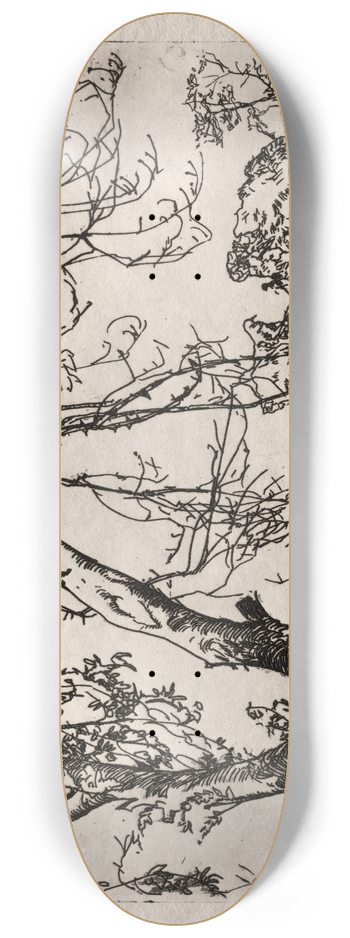 Frank Wilcox - Apple Tree 8.25 inch art skate deck