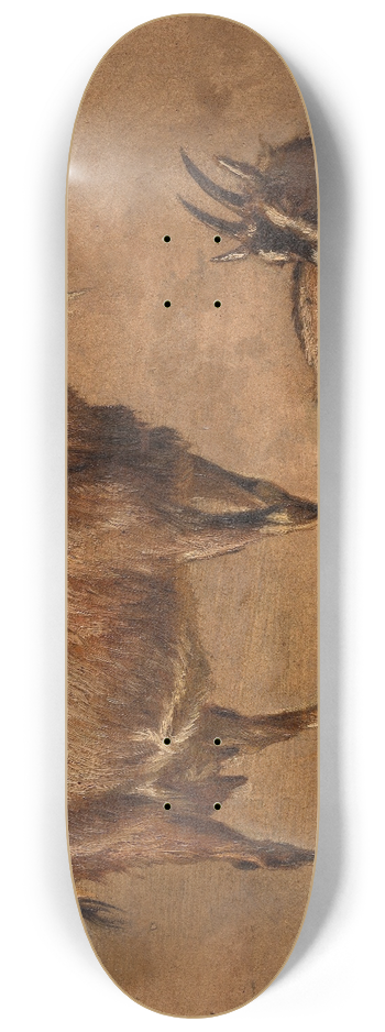 Andre Plumot - Goats 8.25 inch art skate deck