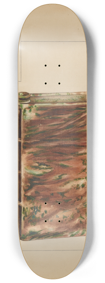 Anna Aloisi - Book Bottle 8.25 inch art skate deck
