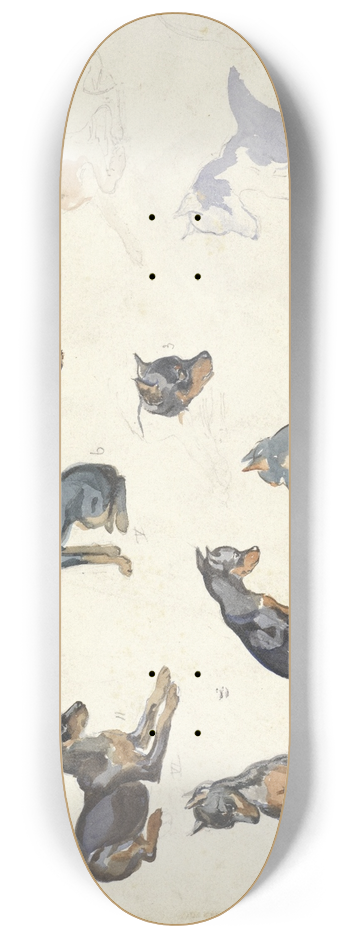 Anna Maria Kruijff - Studies van een hond 8.25 inch art skate deck