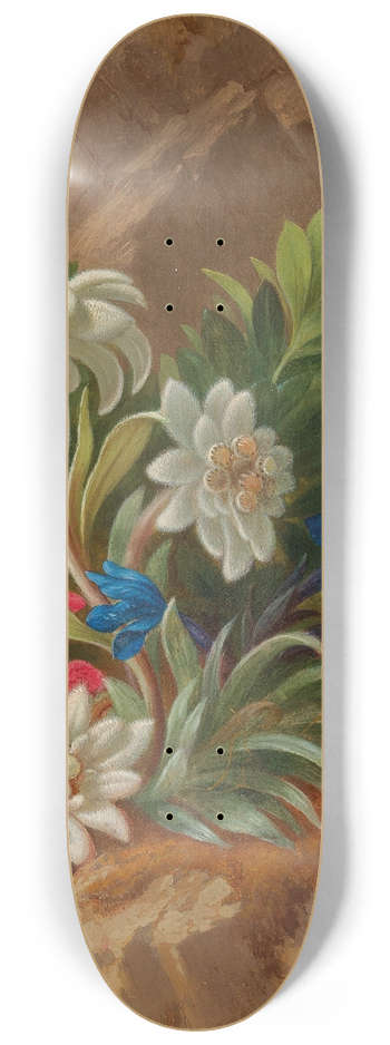 Anton Mollis - Alpenblumen 8.25 inch art skate deck