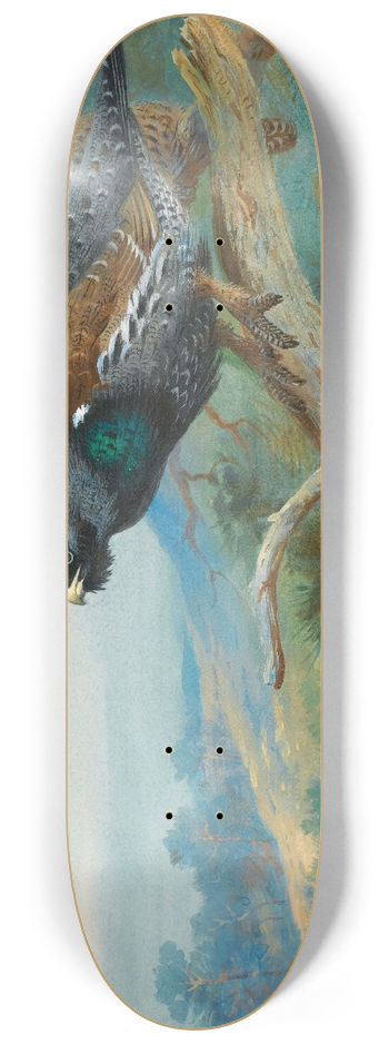 Archibald Thorburn - Capercaillie 8.25 inch art skate deck