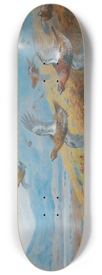 Archibald Thorburn - Driven Grouse 8.25 inch art skate deck