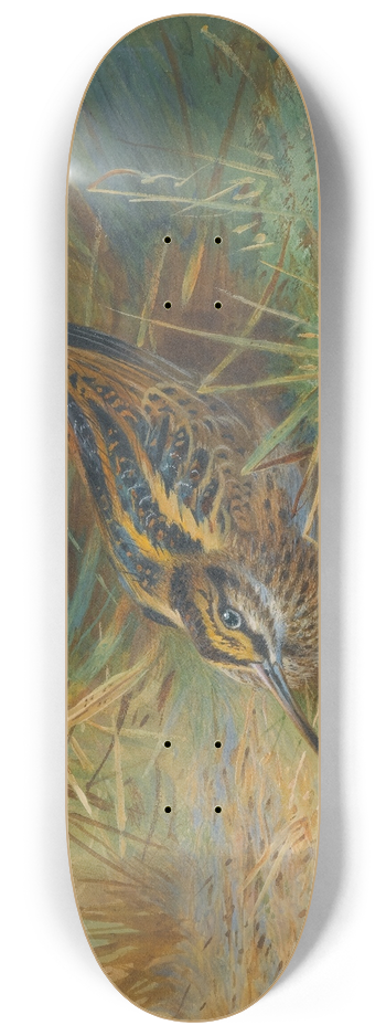 Archibald Thorburn - Jack Snipe 8.25 inch art skate deck