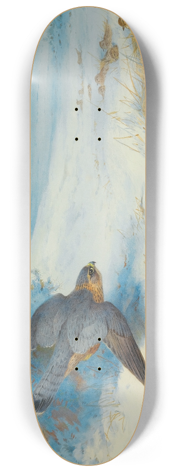 Archibald Thorburn - Merlin And Larks 8.25 inch art skate deck