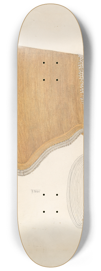 Arelia Arbo - Poke Bonnet 8.25 inch art skate deck