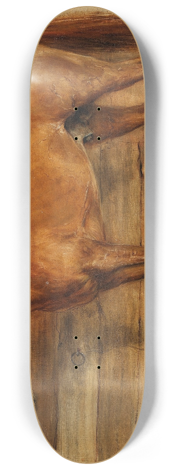 Arthur Kurtz - A Fox in a Stable 8.25 inch art skate deck