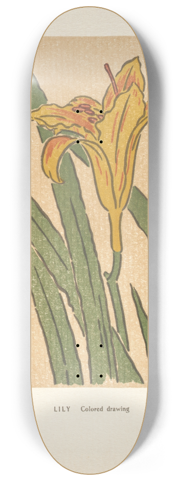 Arthur Wesley Dow - Ipswich Prints; Lily 8.25 inch art skate deck