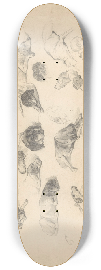 August Alleb - Schetsblad met diverse hondenstudies 8.25 inch art skate deck