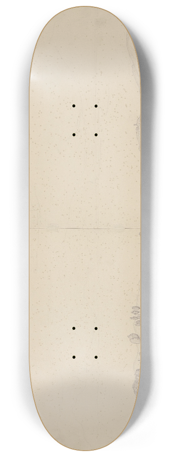 August Lucas - View of Anagni 8.25 inch art skate deck