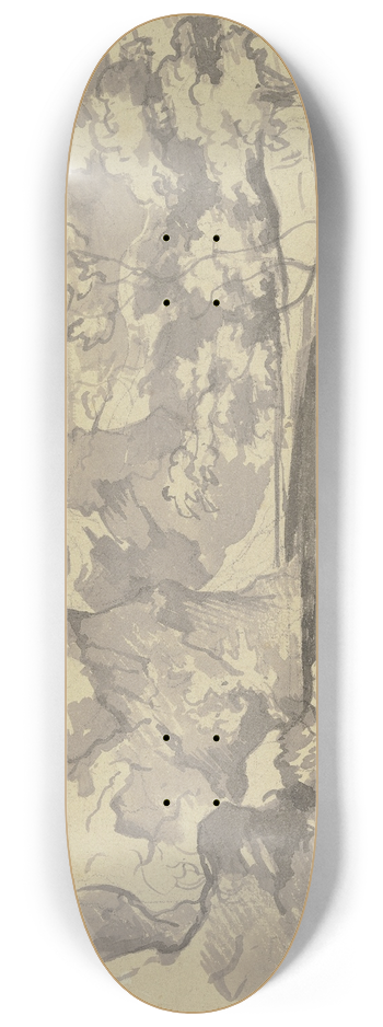 August Richter - River landscape 8.25 inch art skate deck