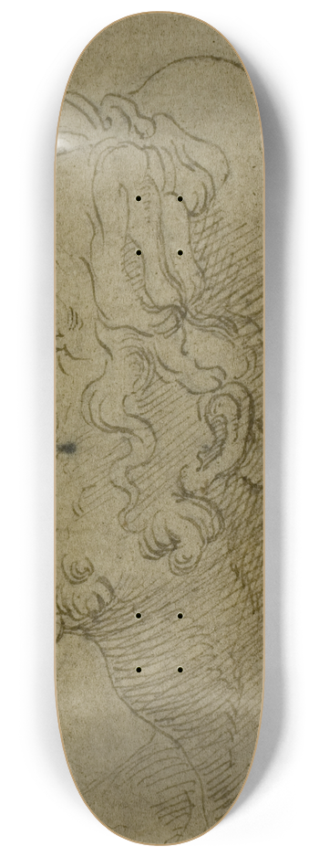 Baldassare Peruzzi - Male Head in Profile 8.25 inch art skate deck