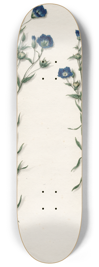 Barend Hendrik Thier - Vlas 8.25 inch art skate deck