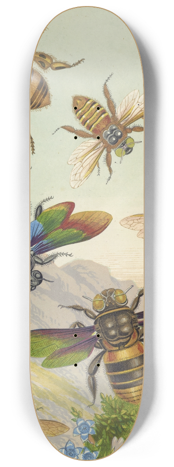 Barret And Sons - Beautiful Exotic Bees 8.25 inch art skate deck