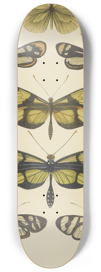 Barret And Sons - South American Butterflies 8.25 inch art skate deck