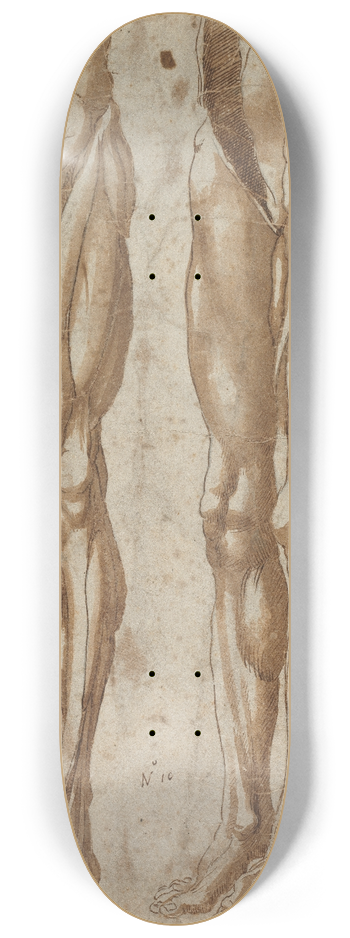 Bartolommeo da Arezzo - Two Studies of a Flayed Man (recto) 8.25 inch art skate deck