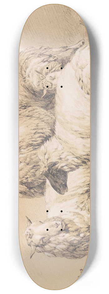 Benno Raffael Adam - Four sheep 8.25 inch art skate deck