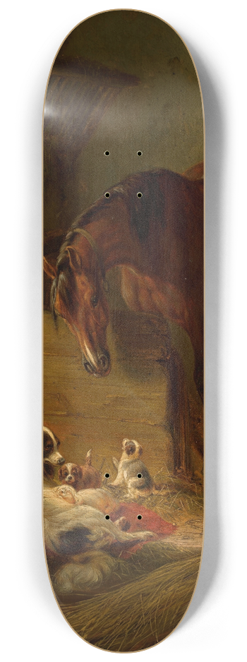 Benno Raffael Adam - In the barn 8.25 inch art skate deck