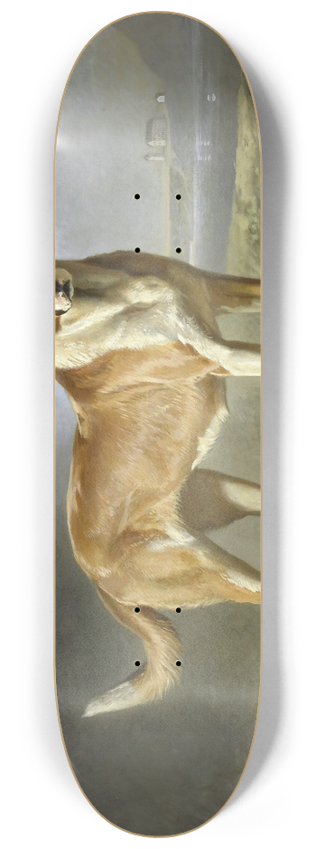 Bernard te Gempt - St Bernard Dog 8.25 inch art skate deck