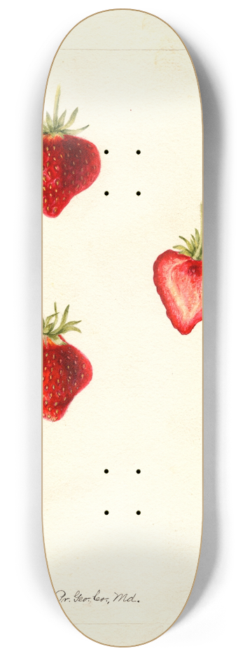 Bertha Heiges - Fragaria: Meeks 8.25 inch art skate deck