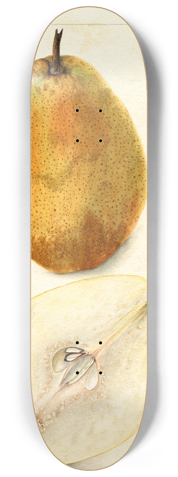 Bertha Heiges - Pyrus communis: Kieffer 8.25 inch art skate deck